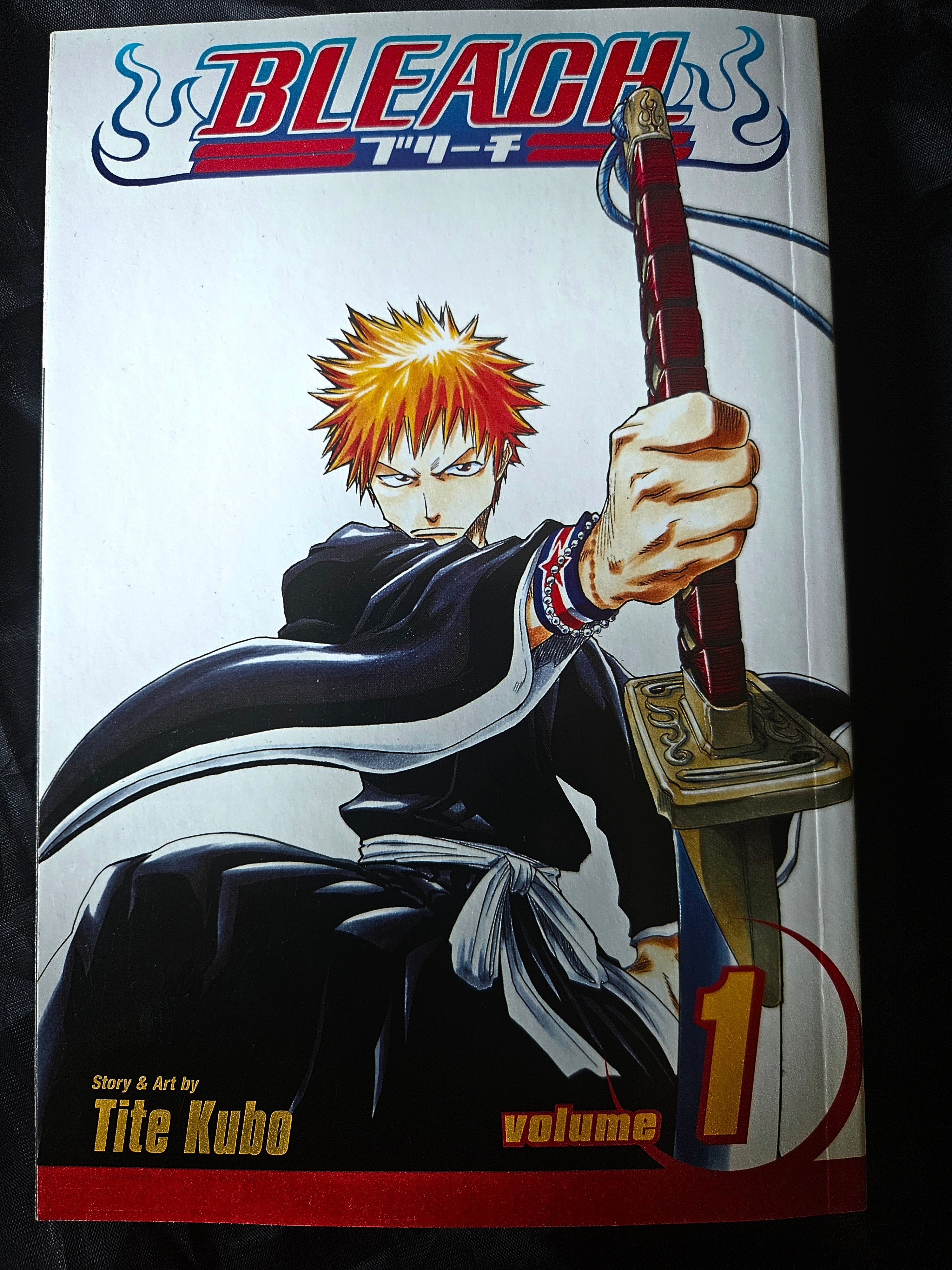 Bleach Volume 1