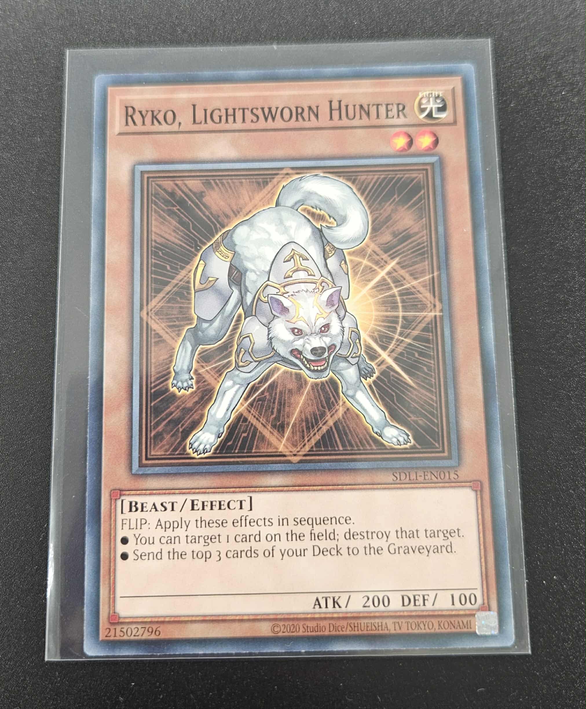 Ryko, Lightsworn Hunter